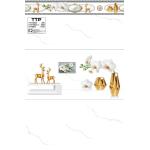 Gạch TTP bóng kính 300X600 bộ 38602