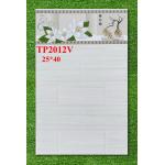Gạch 25x40 ceradoni TP 2012V