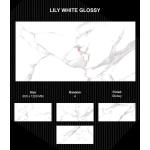 Gạch Ấn Độ 600x1200 mm LILY WHITE GLOSSY