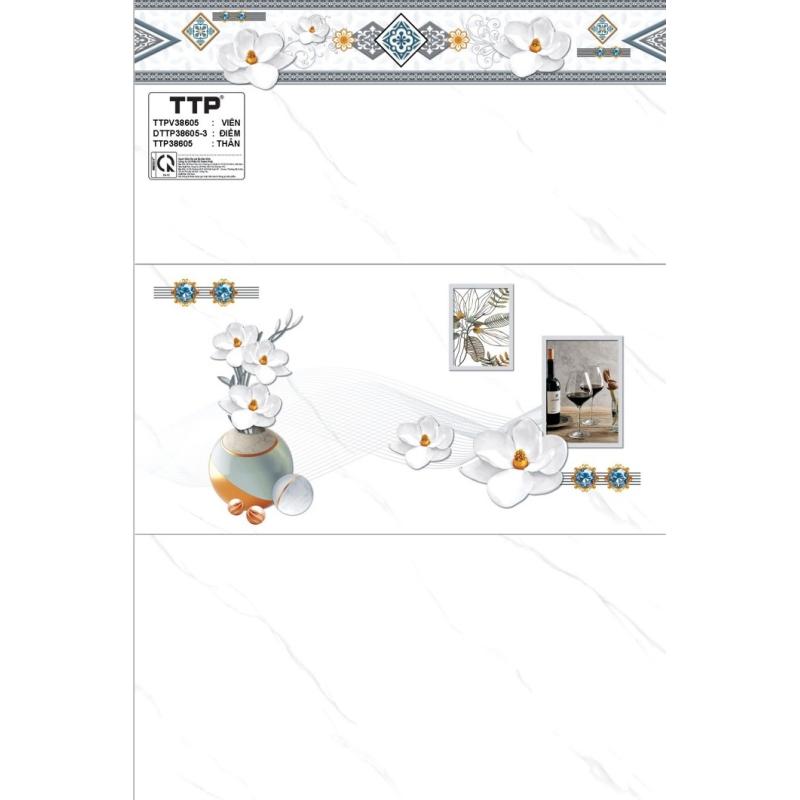 Gạch TTP bóng kính 300X600 bộ 38605
