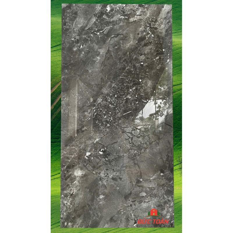 Gạch TASA 800x1600 TS 9610