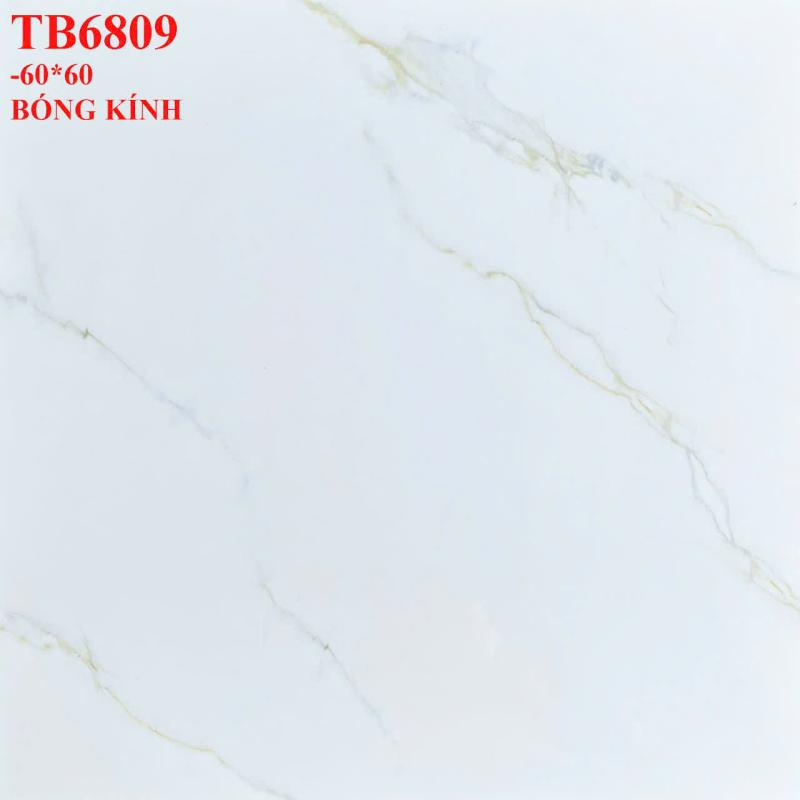 Đá bóng kiếng 600x600 VIGLACERA TB6809